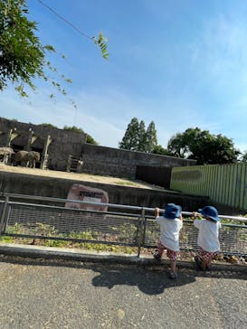 東武動物公園に投稿された画像（2022/6/19）