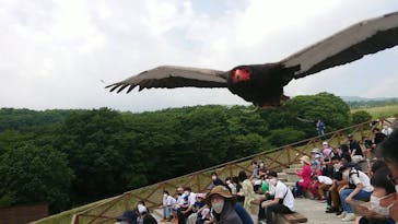 那須どうぶつ王国に投稿された画像（2022/6/19）