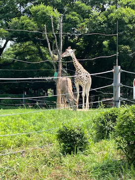 天王寺動物園に投稿された画像（2022/6/19）