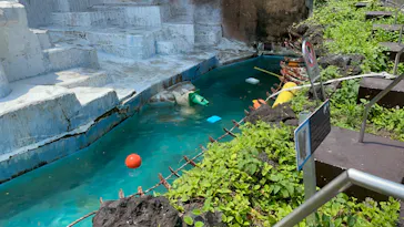 天王寺動物園に投稿された画像（2022/6/19）