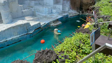 天王寺動物園に投稿された画像（2022/6/19）