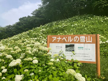 わんダフルネイチャーヴィレッジに投稿された画像（2022/6/19）