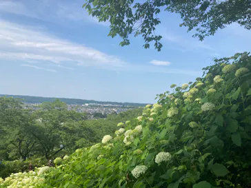 わんダフルネイチャーヴィレッジに投稿された画像（2022/6/19）