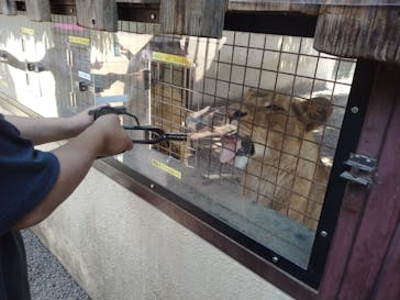 群馬サファリパークに投稿された画像（2022/6/19）