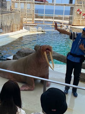 城崎マリンワールドに投稿された画像（2022/6/19）