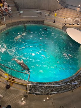 城崎マリンワールドに投稿された画像（2022/6/19）