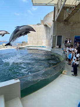 城崎マリンワールドに投稿された画像（2022/6/19）