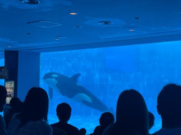 名古屋港水族館に投稿された画像（2022/6/19）