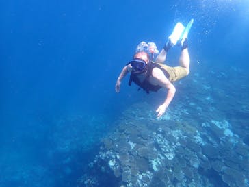 石垣島 ADVENTURE PiPi（イシガキジマアドベンチャーピピ）に投稿された画像（2022/6/19）