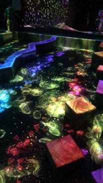 チームラボフォレスト 福岡 - SBI証券に投稿された画像（2022/6/19）