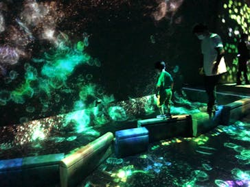 チームラボフォレスト 福岡 - SBI証券に投稿された画像（2022/6/19）