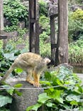 伊豆シャボテン動物公園に投稿された画像（2022/6/19）