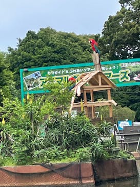 伊豆シャボテン動物公園に投稿された画像（2022/6/19）