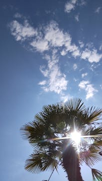 東京サマーランドに投稿された画像（2022/6/19）