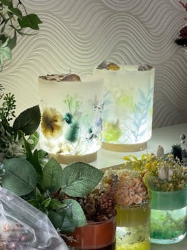 ずこうしつ〜sugamo〜に投稿された画像（2022/6/19）