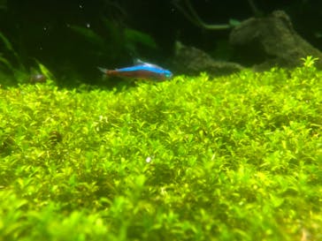 サンシャイン水族館に投稿された画像（2022/6/19）