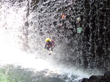 自然派企画に投稿された画像（2022/6/19）