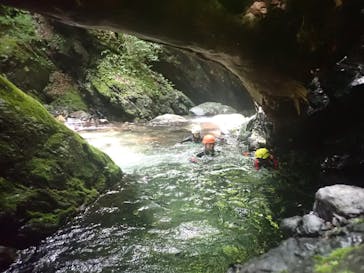 自然派企画に投稿された画像（2022/6/19）