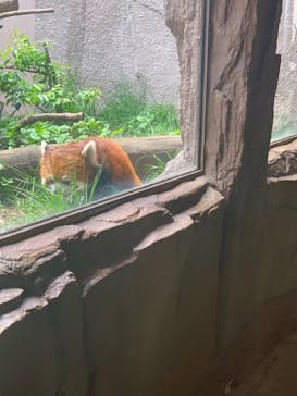 那須どうぶつ王国に投稿された画像（2022/6/19）