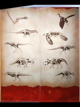 国立科学博物館　特別企画展「ポケモン化石博物館」に投稿された画像（2022/6/19）