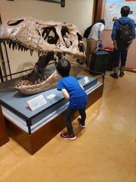 国立科学博物館　特別企画展「ポケモン化石博物館」に投稿された画像（2022/6/19）