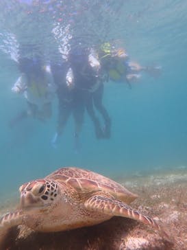 宮古島 ADVENTURE PiPi（ミヤコジマ アドベンチャー ピピ）に投稿された画像（2022/6/19）