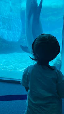 名古屋港水族館に投稿された画像（2022/6/19）