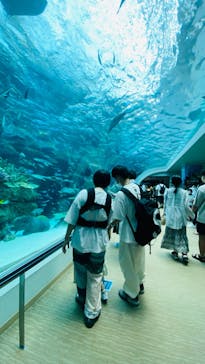 名古屋港水族館に投稿された画像（2022/6/19）