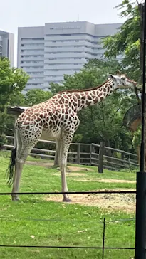 天王寺動物園に投稿された画像（2022/6/19）