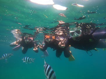 沖縄マリンサービス碧に投稿された画像（2022/6/19）