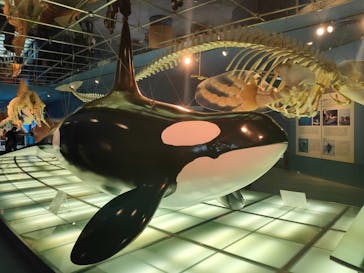 名古屋港水族館に投稿された画像（2022/6/19）