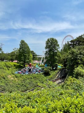 西武園ゆうえんちに投稿された画像（2022/6/19）