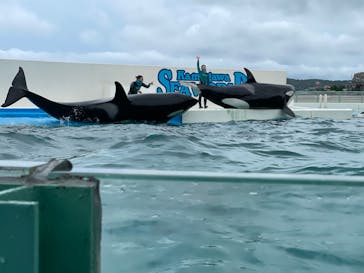 鴨川シーワールドに投稿された画像（2022/6/19）