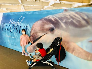 新江ノ島水族館に投稿された画像（2022/6/19）