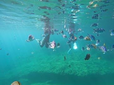 武藤潜水に投稿された画像（2022/6/20）