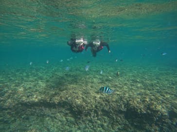 武藤潜水に投稿された画像（2022/6/20）