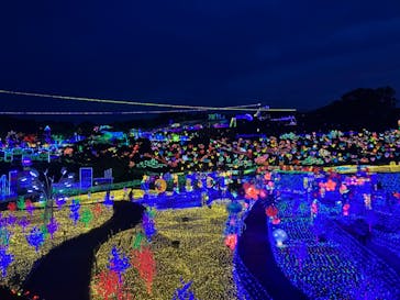 伊豆ぐらんぱる公園に投稿された画像（2022/6/20）