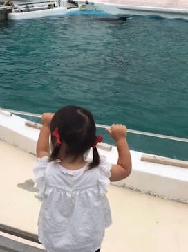 鴨川シーワールドに投稿された画像（2022/6/17）