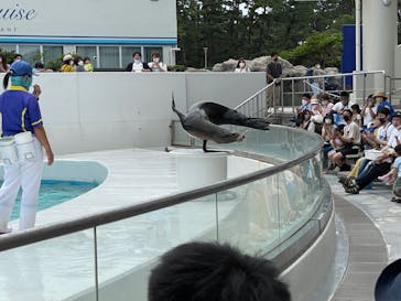 鴨川シーワールドに投稿された画像（2022/6/20）