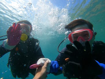 武藤潜水に投稿された画像（2022/6/20）