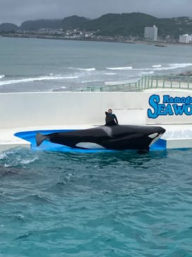 鴨川シーワールドに投稿された画像（2022/6/20）