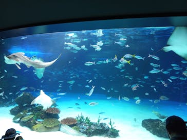 サンシャイン水族館に投稿された画像（2022/6/20）