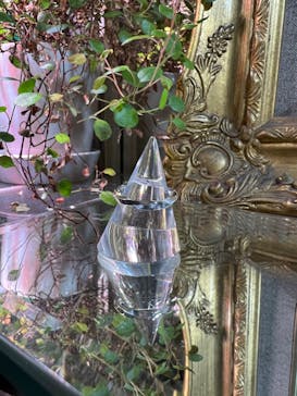 impera accessory（インペラアクセサリー）に投稿された画像（2022/6/20）