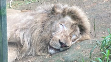 沖縄こどもの国に投稿された画像（2022/6/20）