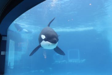 名古屋港水族館に投稿された画像（2022/6/20）