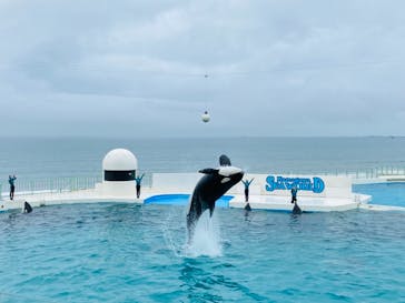 鴨川シーワールドに投稿された画像（2022/6/20）