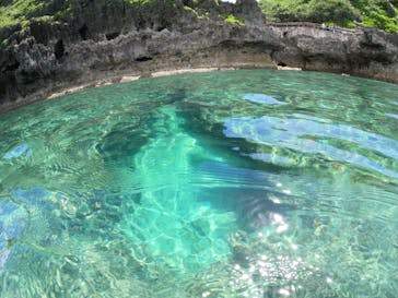 沖縄マリンサービス碧に投稿された画像（2022/6/20）