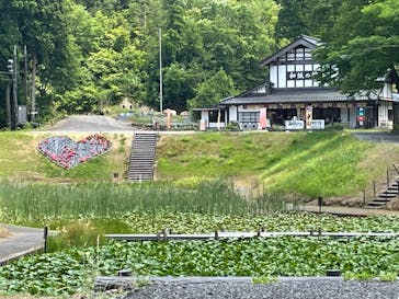 加賀 伝統工芸村　ゆのくにの森に投稿された画像（2022/6/20）