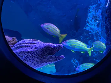 すみだ水族館に投稿された画像（2022/6/20）