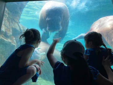 鴨川シーワールドに投稿された画像（2022/6/20）